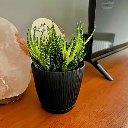 Via Roma Apartman Angera